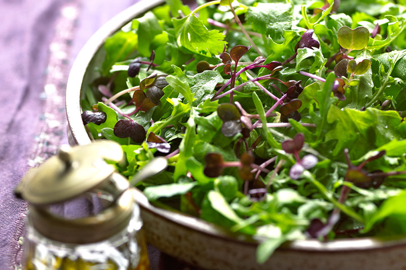 Fresh salad with microgreens