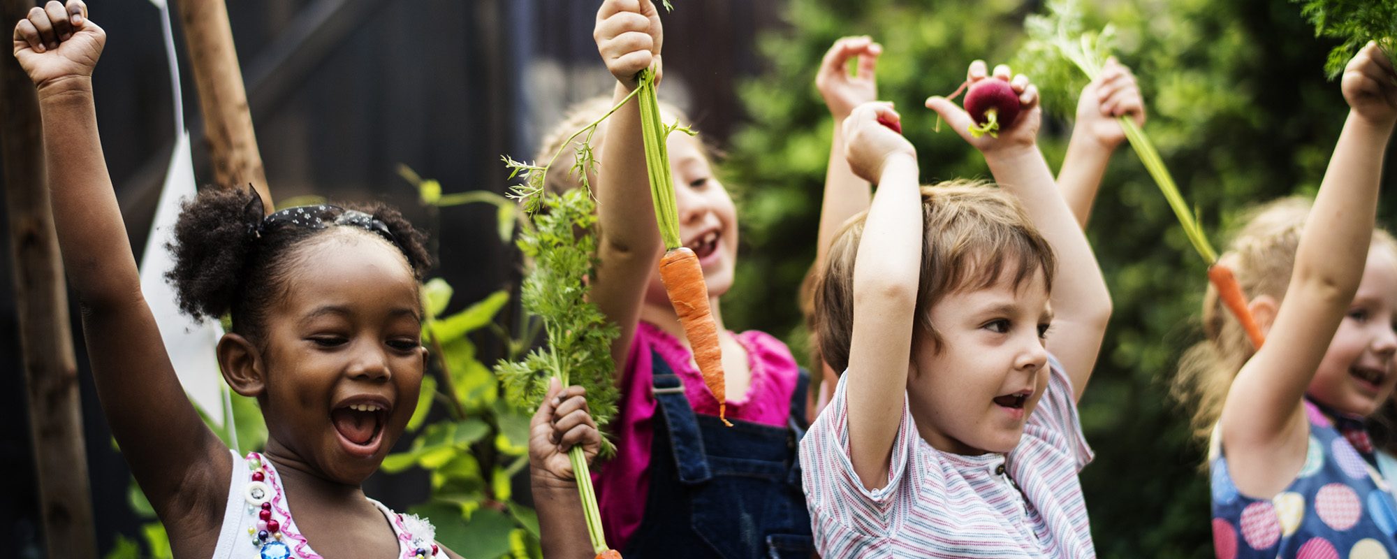 Kids in a vegetable garden