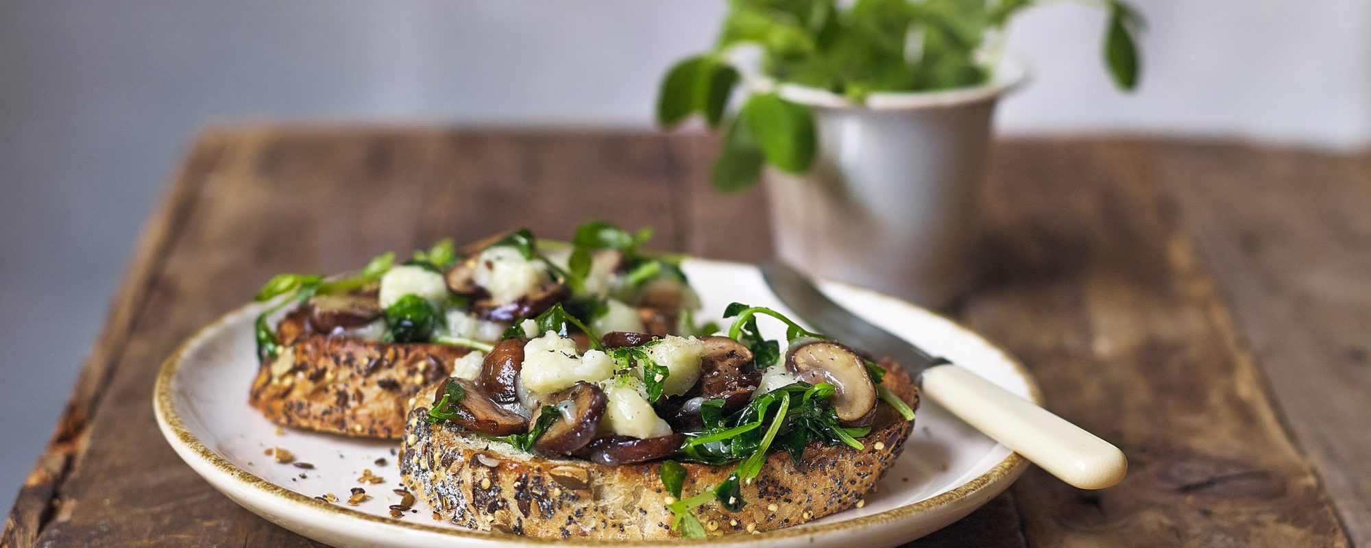 Sautéed Mushrooms & Pea Shoots with melted Goat’s Cheese on Sourdough
